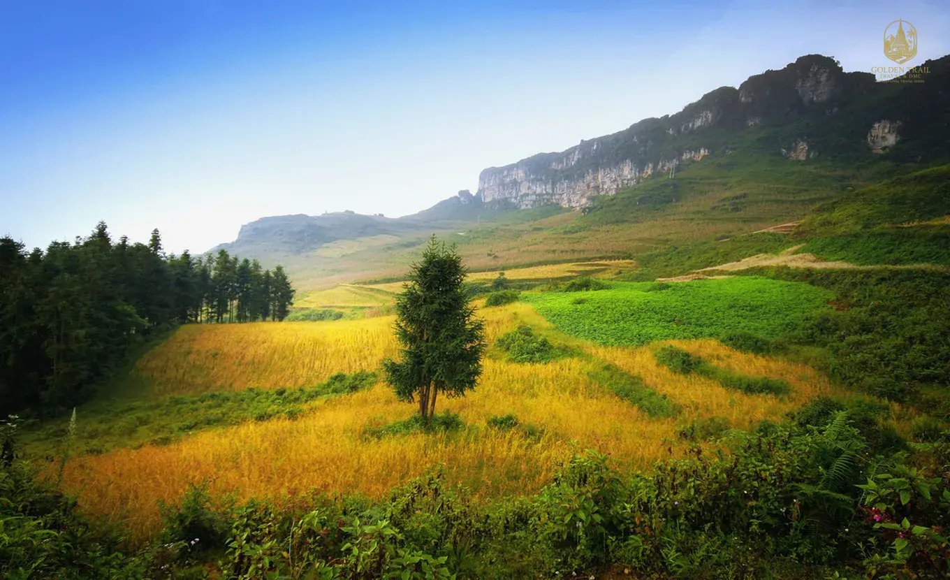 Embrace Vietnam: 24-Day Journey of Timeless Authenticity & Natural Wonders